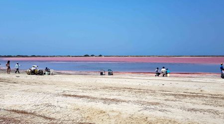 Sea-Pink-Of-Galerazamba-Cartagena-Tour-Red-Sea-2