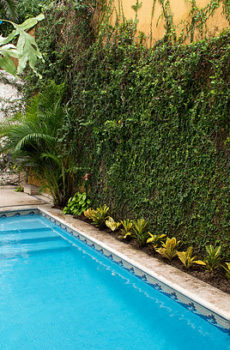 Beauty Mansion in Cartagena