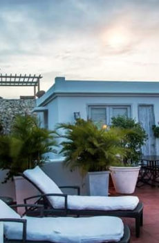 Fantastic Old City House