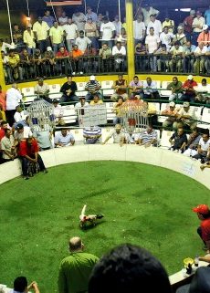 Cockfighting Tour