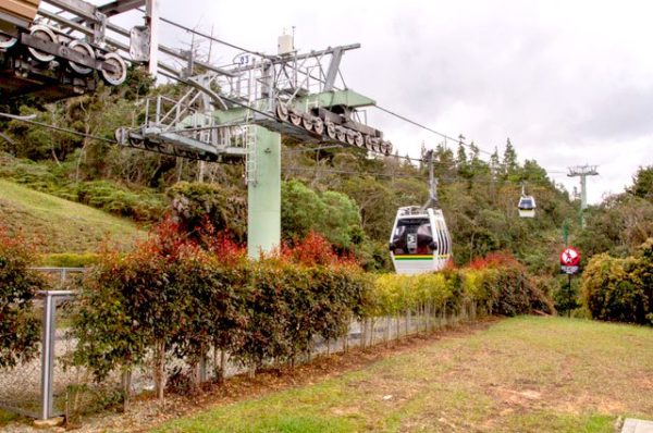 Arvi Park Excursion