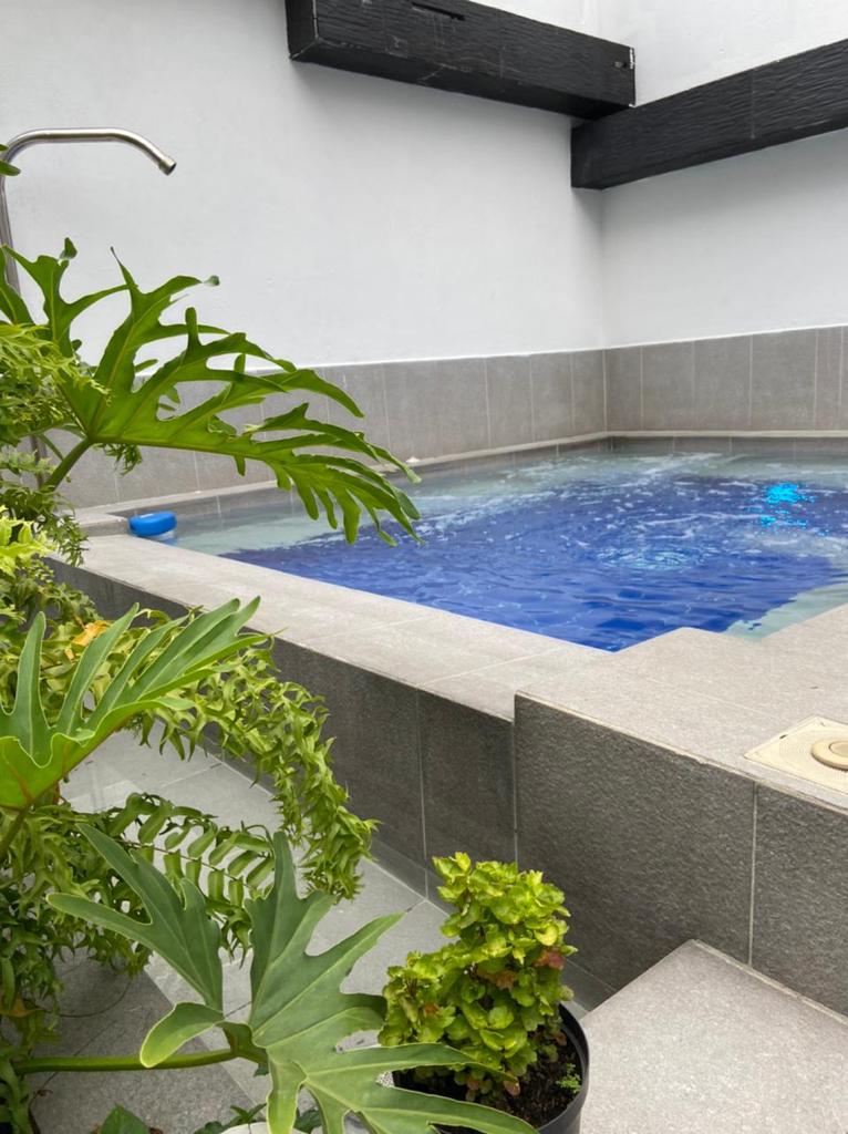 Medellin bachelor party