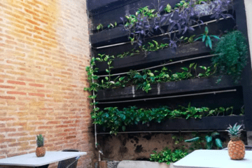 Party house in cartagena 1