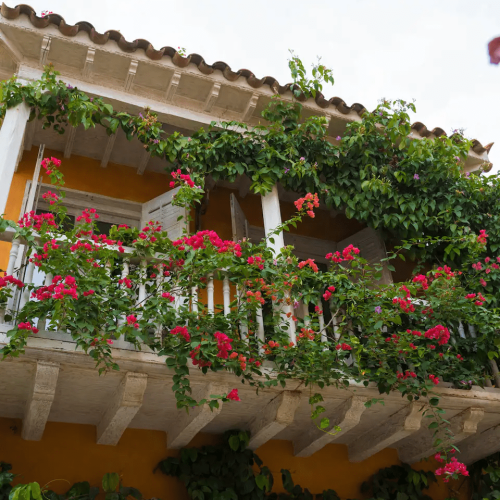 Party villas in cartagena