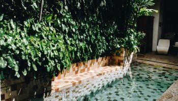 Bachelor party friendly houses in cartagena (6)