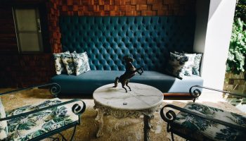 Bachelor party friendly houses in cartagena (7)