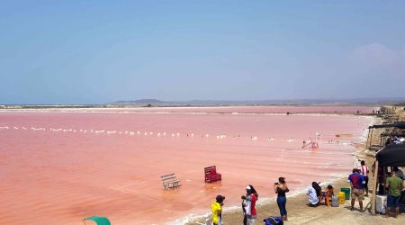 Sea-Pink-Of-Galerazamba-Cartagena-Tour-Red-Sea-4