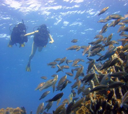 outdoor activities in cartagena colombia