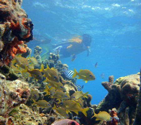 outdoor activities in cartagena colombia